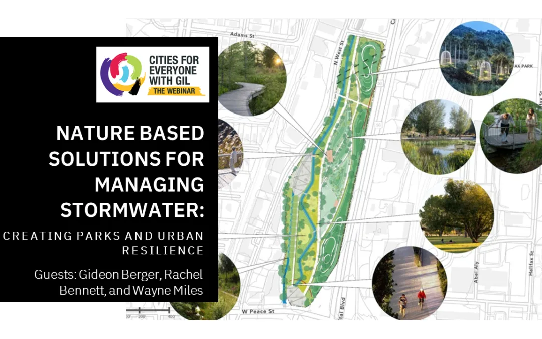 Gideon Berger, Rachel Bennett, Wayne Miles • Nature Based Solutions for Managing Stormwater: Creating Parks & Urban Resilience.